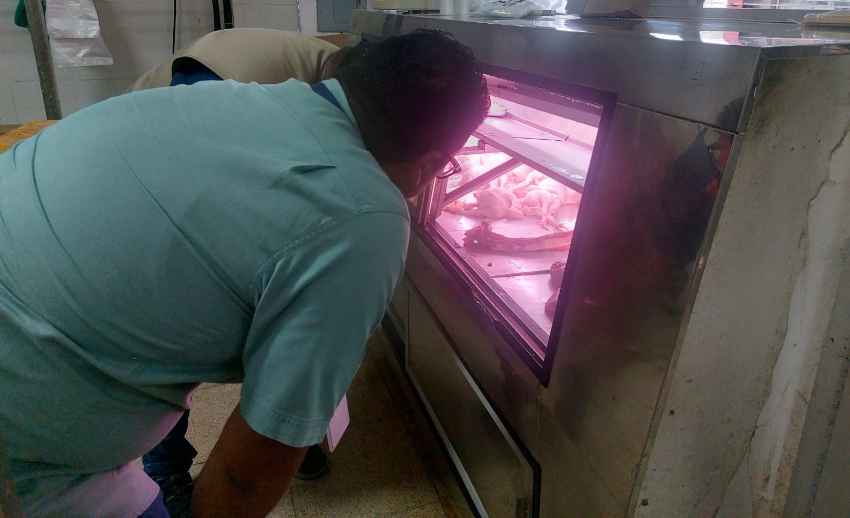 ¡cuidado Con Lo Que Compra Detectan Venta De Carne Podrida En Panamá Oeste Día A Día 4211